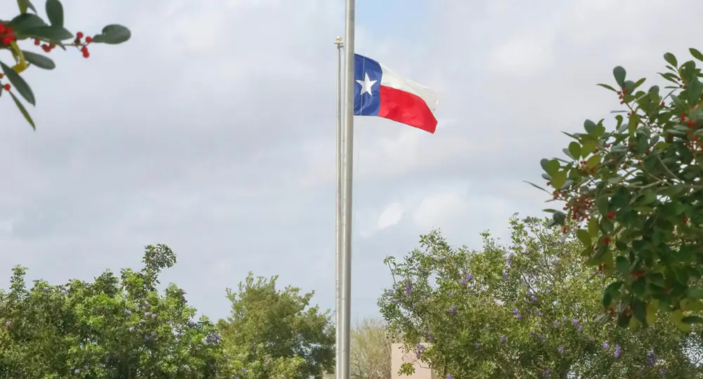 Why Choose a Local Tax Preparer in Oak Cliff Over Generic Online Services? 1 Texas flag flying over Oak Cliff